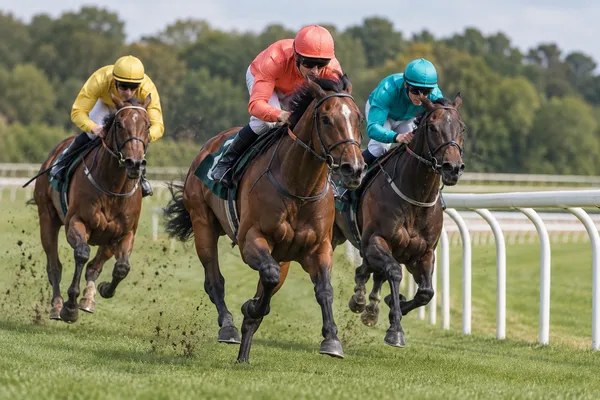 Application illustration: Horse racing